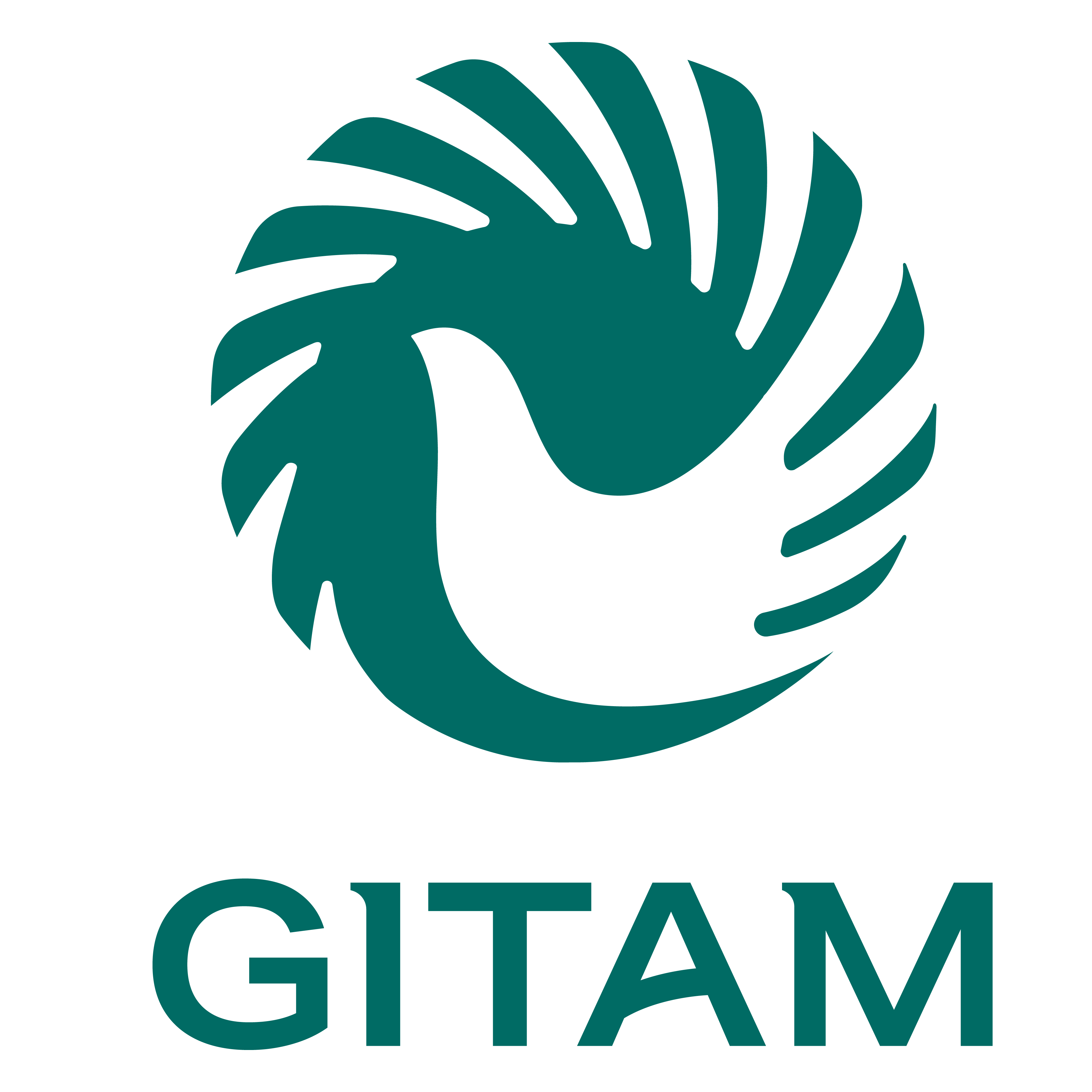 GITAM University